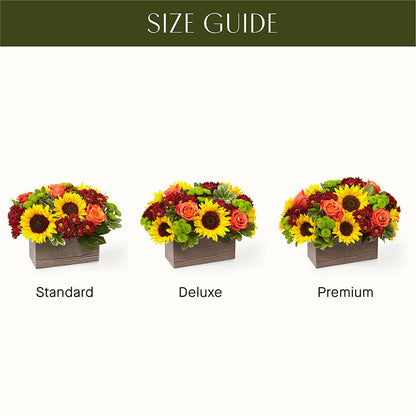 Happy Harvest Garden –  Usa Flowershop Llc, Pompano Beach FL