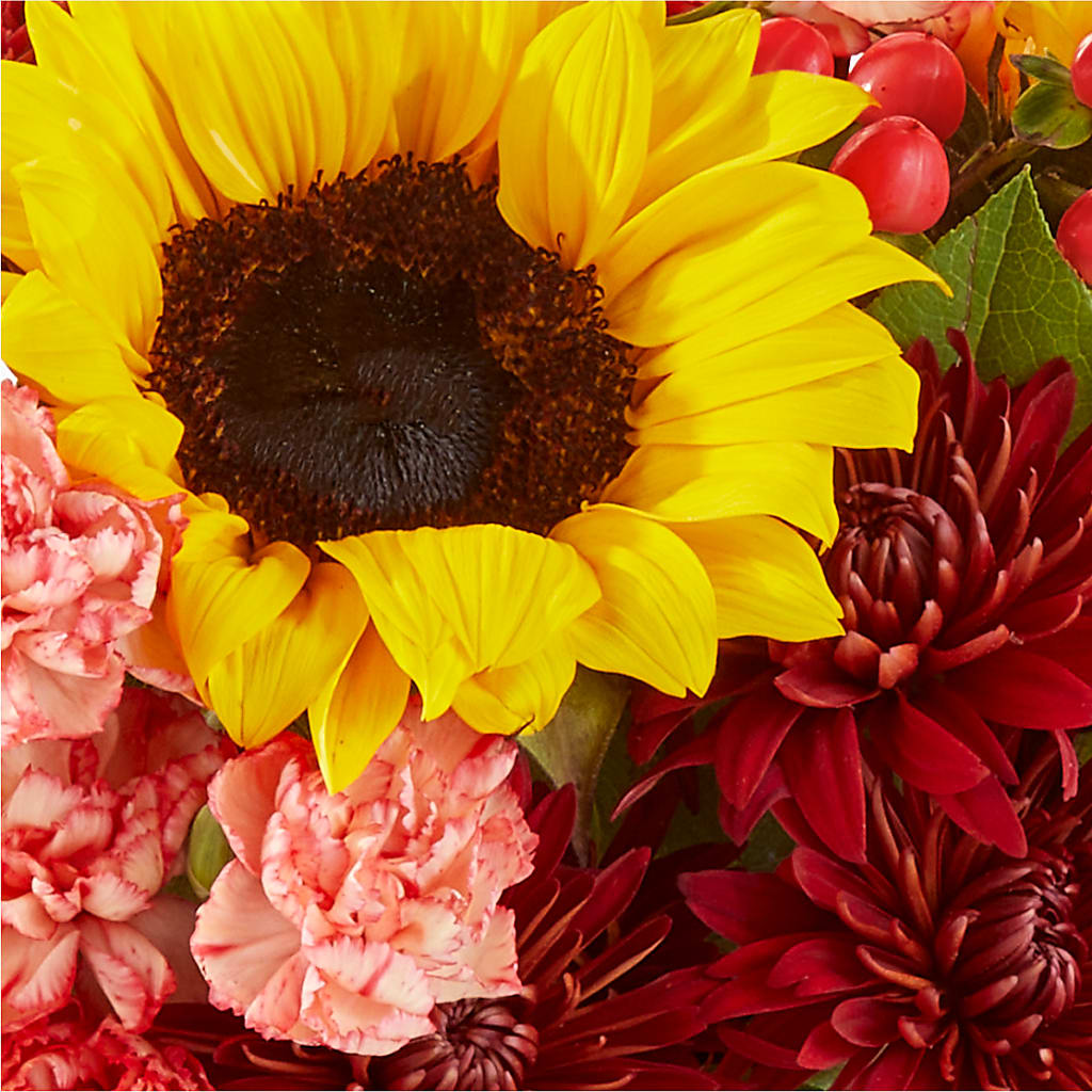 Fresh Cider Bouquet –  Usa Flowershop Llc, Pompano Beach FL