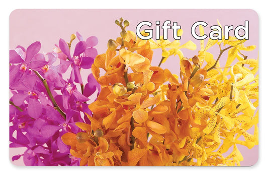 Gift Card –  Usa Flowershop Llc, Pompano Beach FL