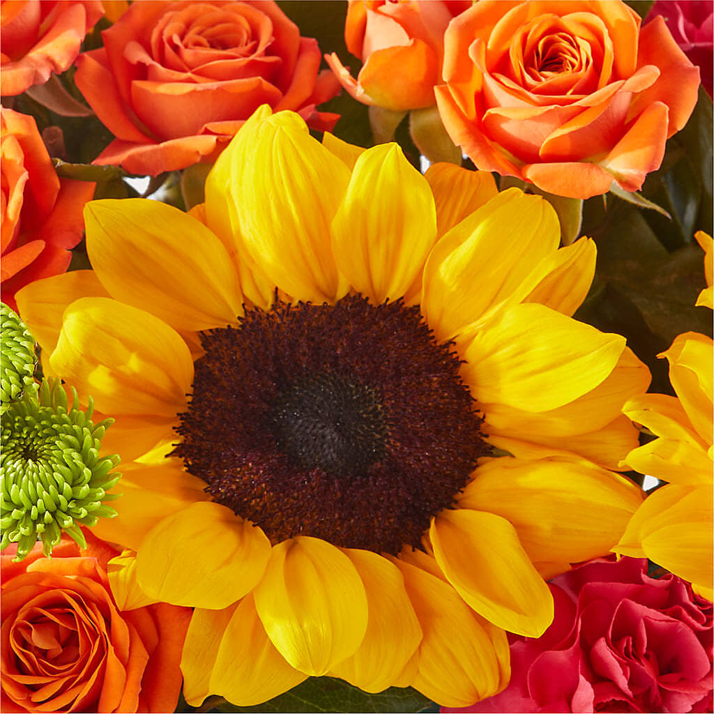 Sun-drenched Blooms Box Bouquet –  Usa Flowershop Llc, Pompano Beach FL