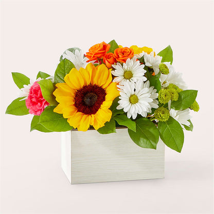 Sun-drenched Blooms Box Bouquet –  Usa Flowershop Llc, Pompano Beach FL