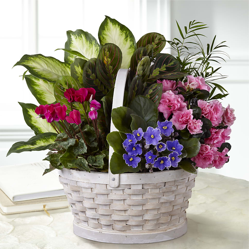 Peaceful Garden Planter –  Usa Flowershop Llc, Pompano Beach FL