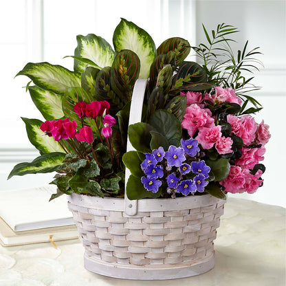 Peaceful Garden Planter –  Usa Flowershop Llc, Pompano Beach FL