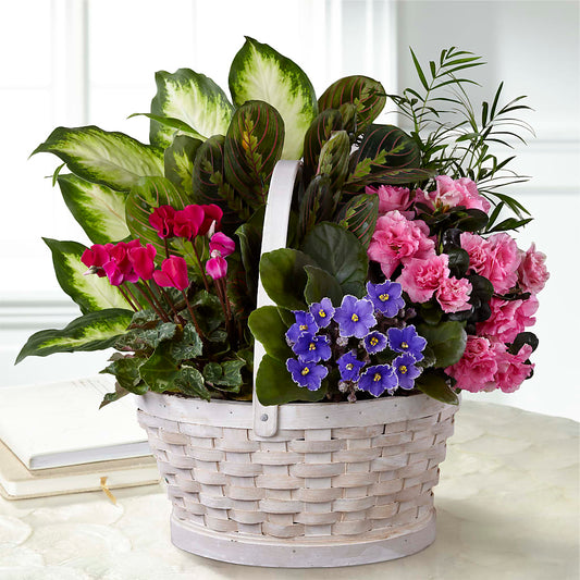 Peaceful Garden Planter –  Usa Flowershop Llc, Pompano Beach FL