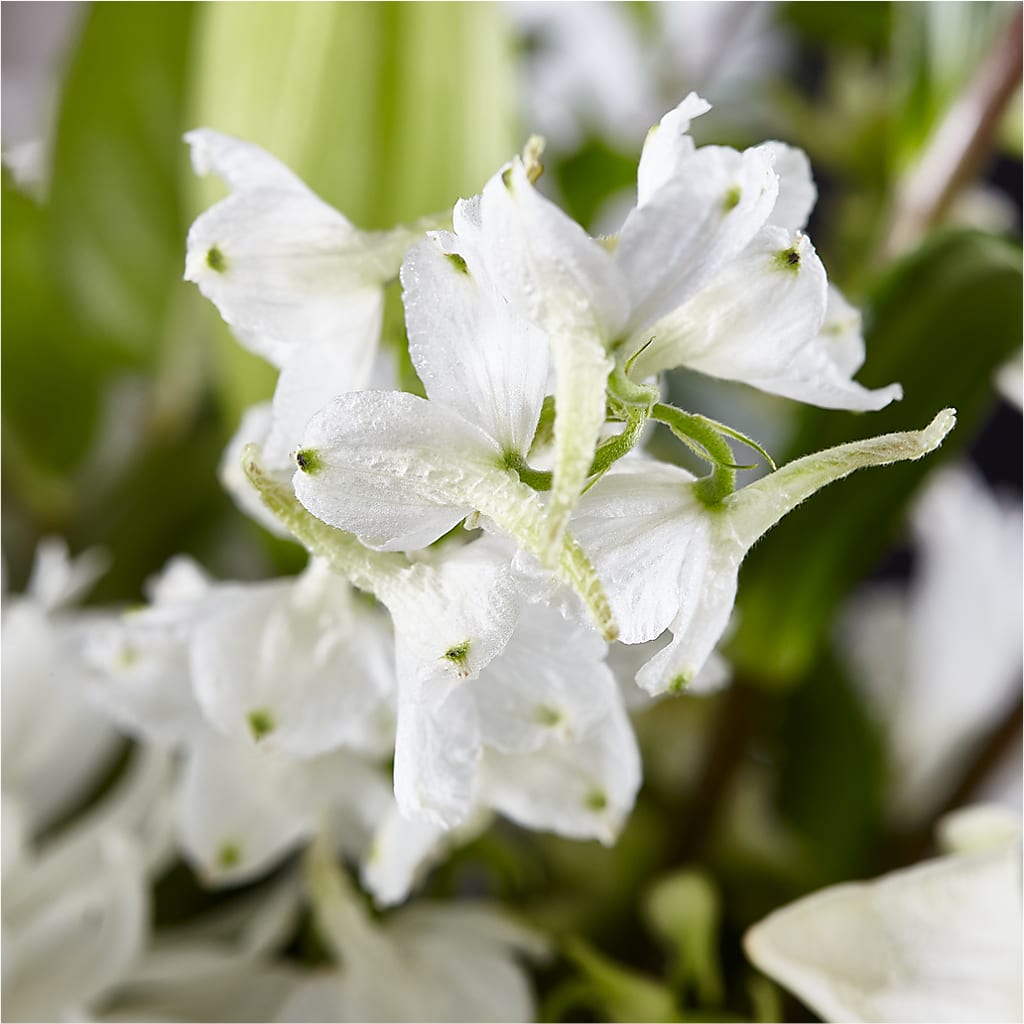 Classic Ivory – A Florist Original –  Usa Flowershop Llc, Pompano Beach FL