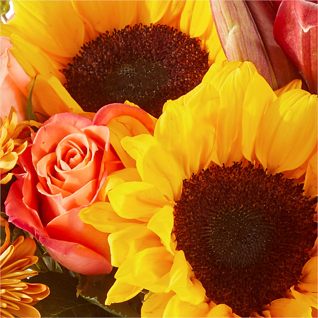 Acorn Lane Bouquet –  Usa Flowershop Llc, Pompano Beach FL