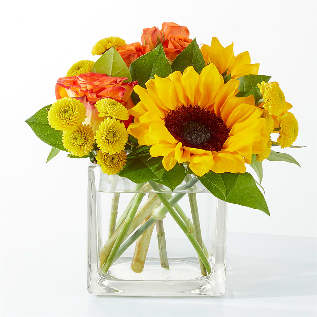 Picnic in the Park Bouquet –  Usa Flowershop Llc, Pompano Beach FL