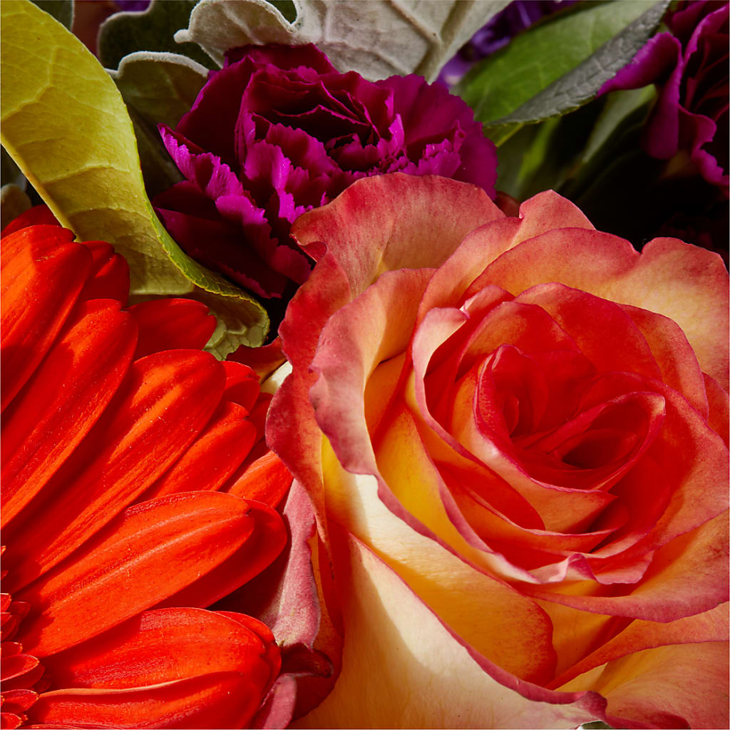 Sangria Bouquet –  Usa Flowershop Llc, Pompano Beach FL