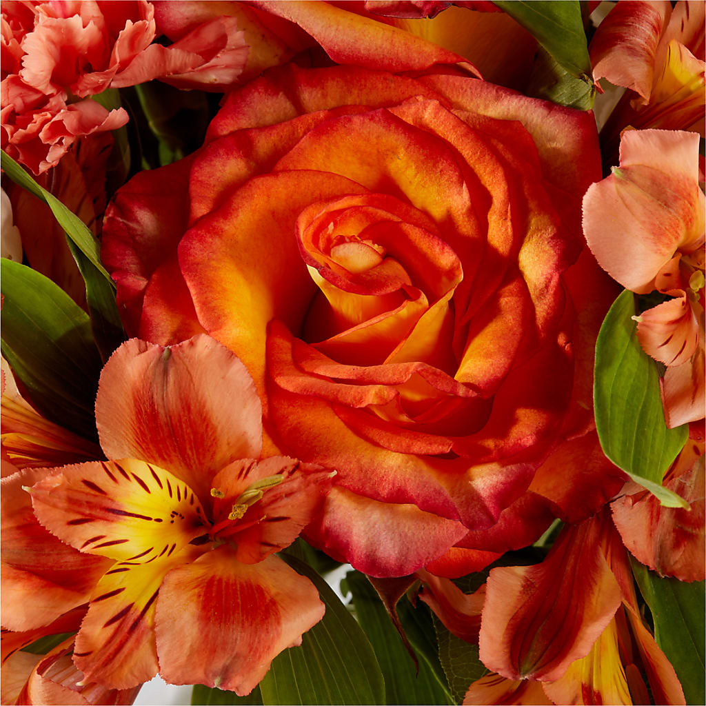 Apricot Glow Bouquet –  Usa Flowershop Llc, Pompano Beach FL