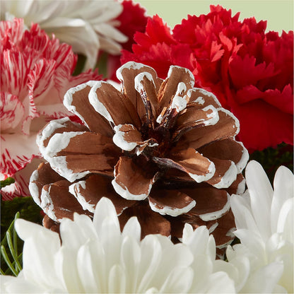 Candy Cane Lane Bouquet –  Usa Flowershop Llc, Pompano Beach FL
