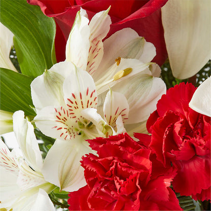 Holiday Season Bouquet –  Usa Flowershop Llc, Pompano Beach FL