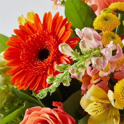 Autumn Sunshine Bouquet –  Usa Flowershop Llc, Pompano Beach FL