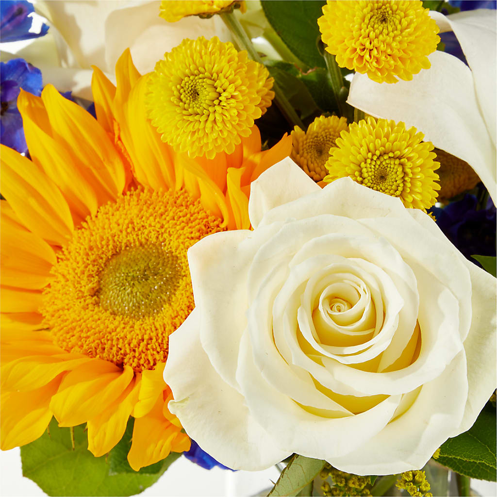 Stargazing Bouquet –  Usa Flowershop Llc, Pompano Beach FL