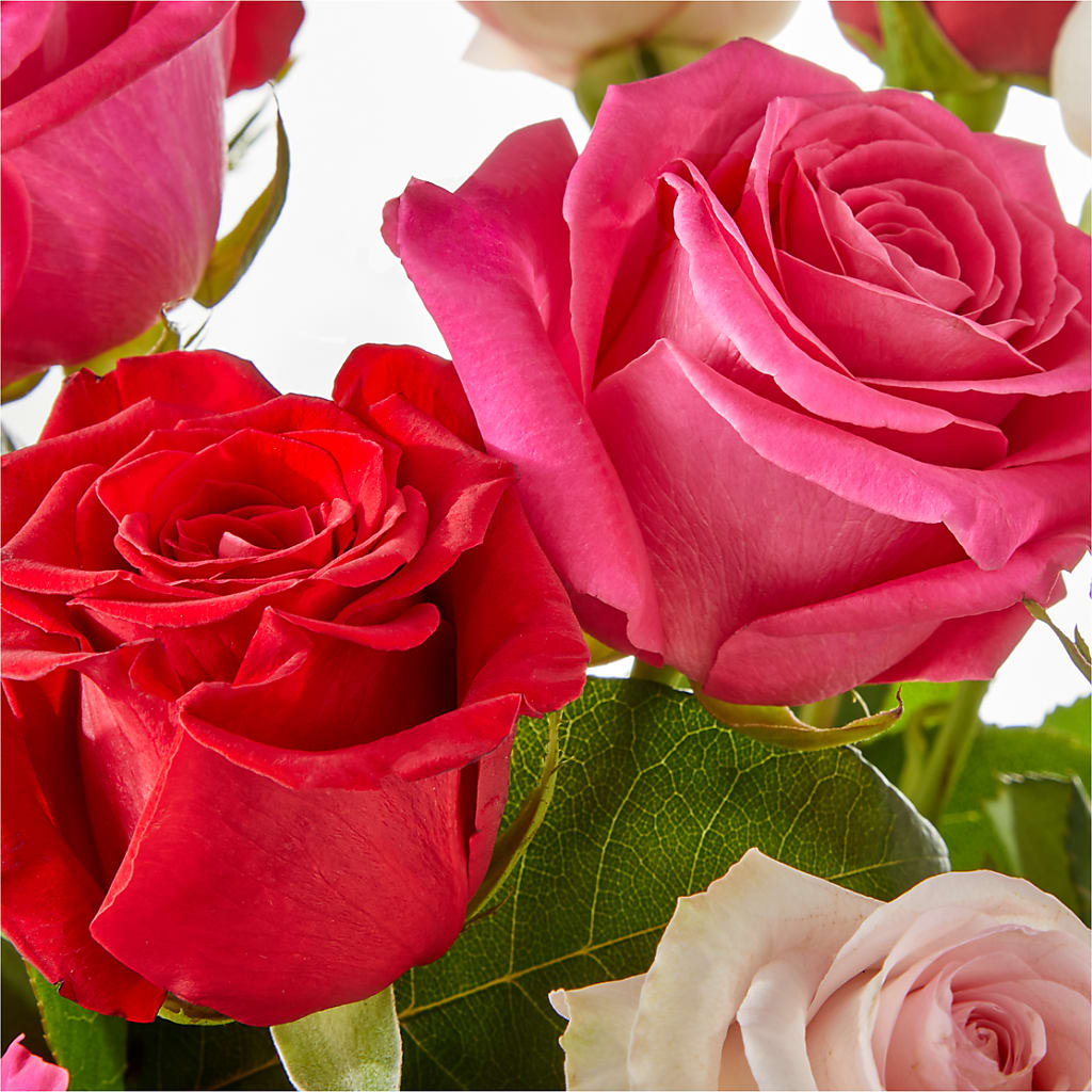 Charming Rose Bouquet –  Usa Flowershop Llc, Pompano Beach FL