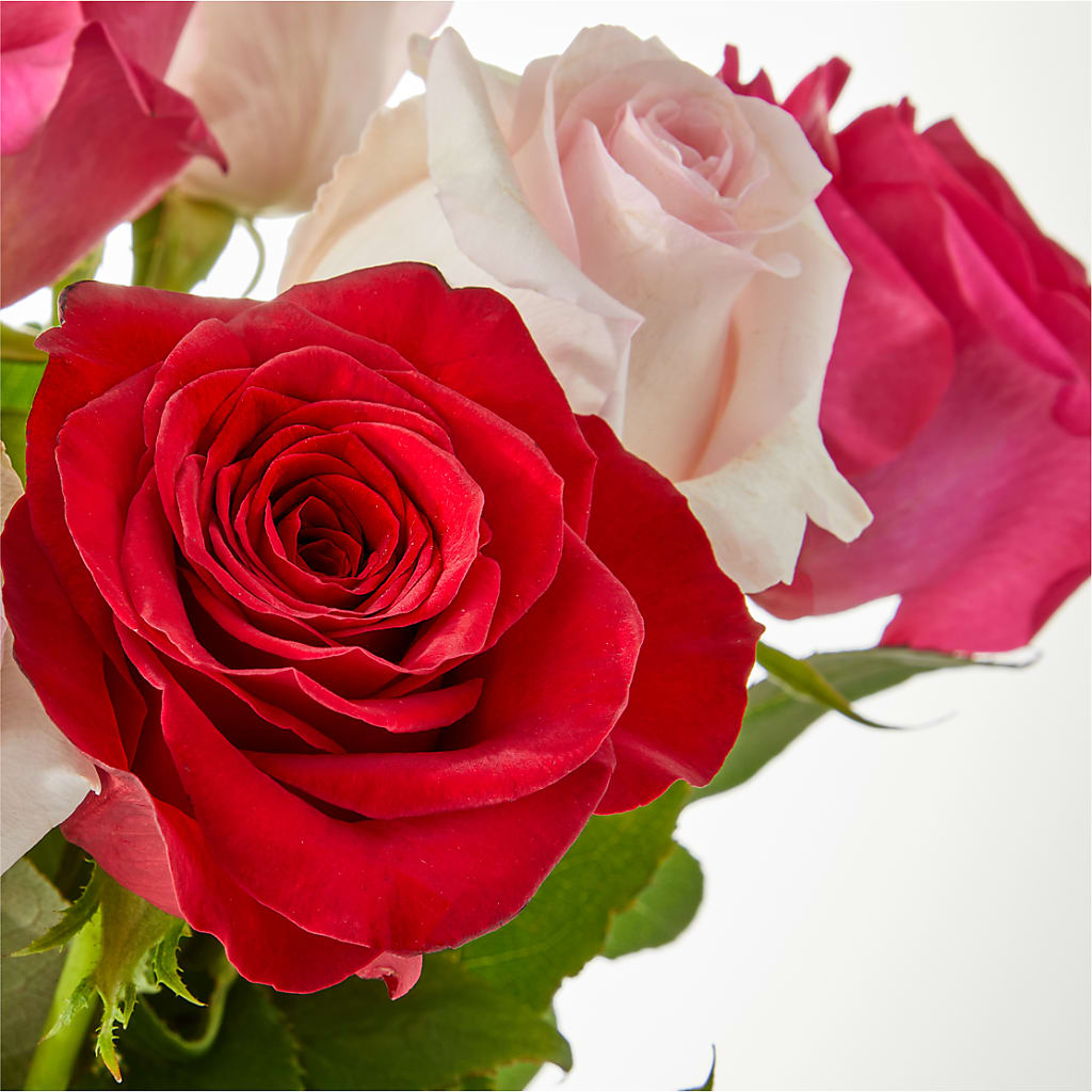 Charming Rose Bouquet –  Usa Flowershop Llc, Pompano Beach FL