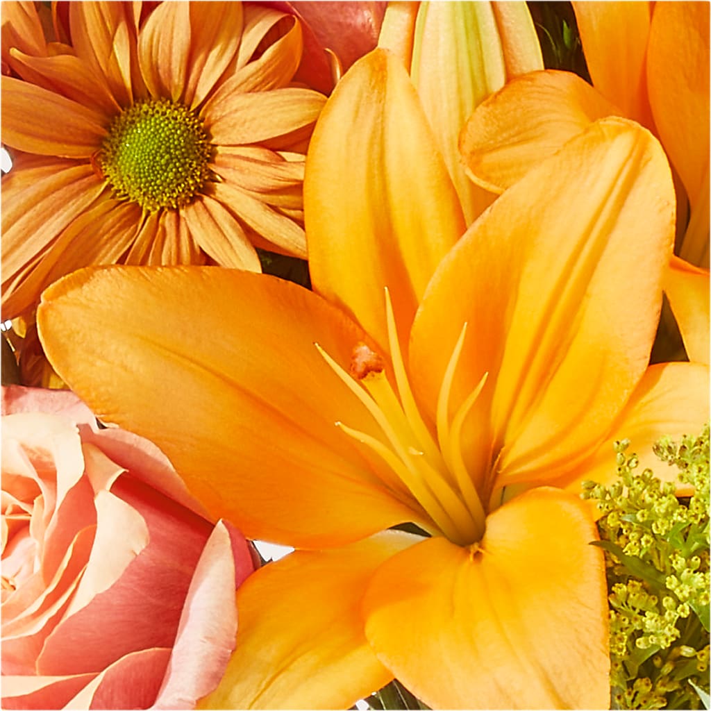 Harvest Hayride Bouquet –  Usa Flowershop Llc, Pompano Beach FL