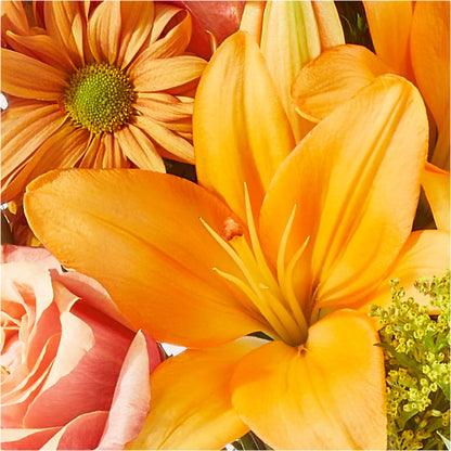 Harvest Hayride Bouquet –  Usa Flowershop Llc, Pompano Beach FL
