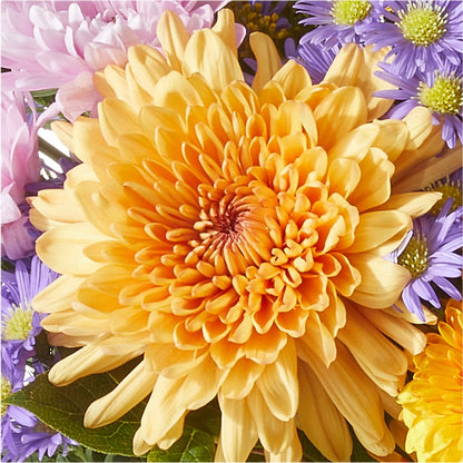 Countryside Bouquet –  Usa Flowershop Llc, Pompano Beach FL