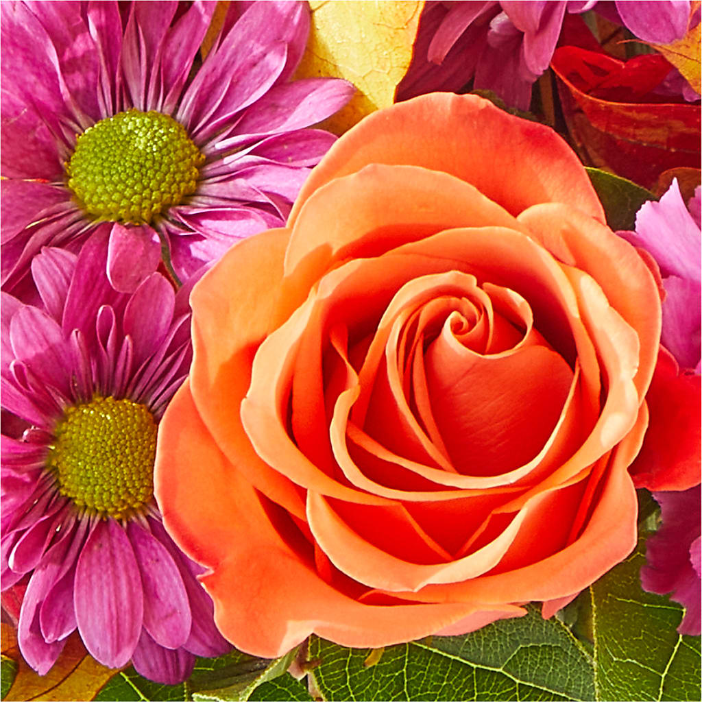 Mum's the Word Bouquet –  Usa Flowershop Llc, Pompano Beach FL
