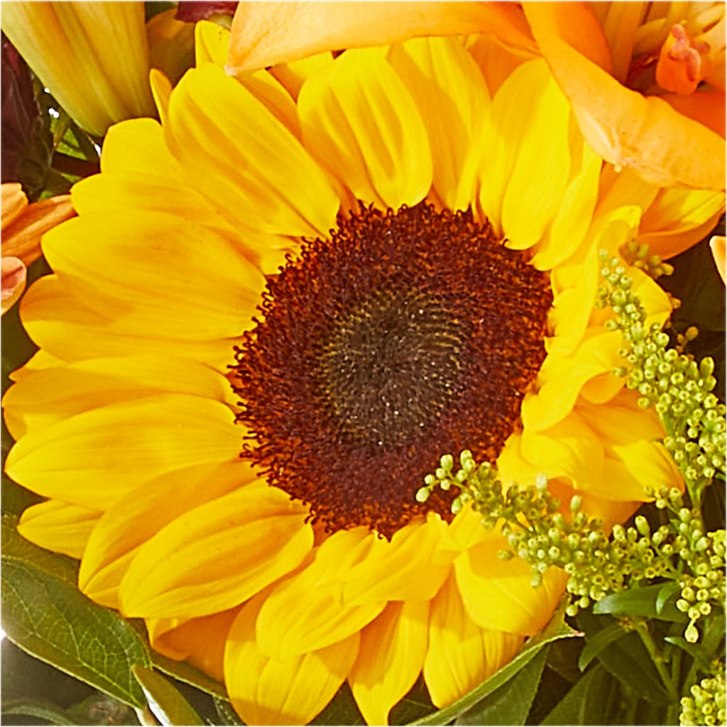 Seasons Change Bouquet –  Usa Flowershop Llc, Pompano Beach FL