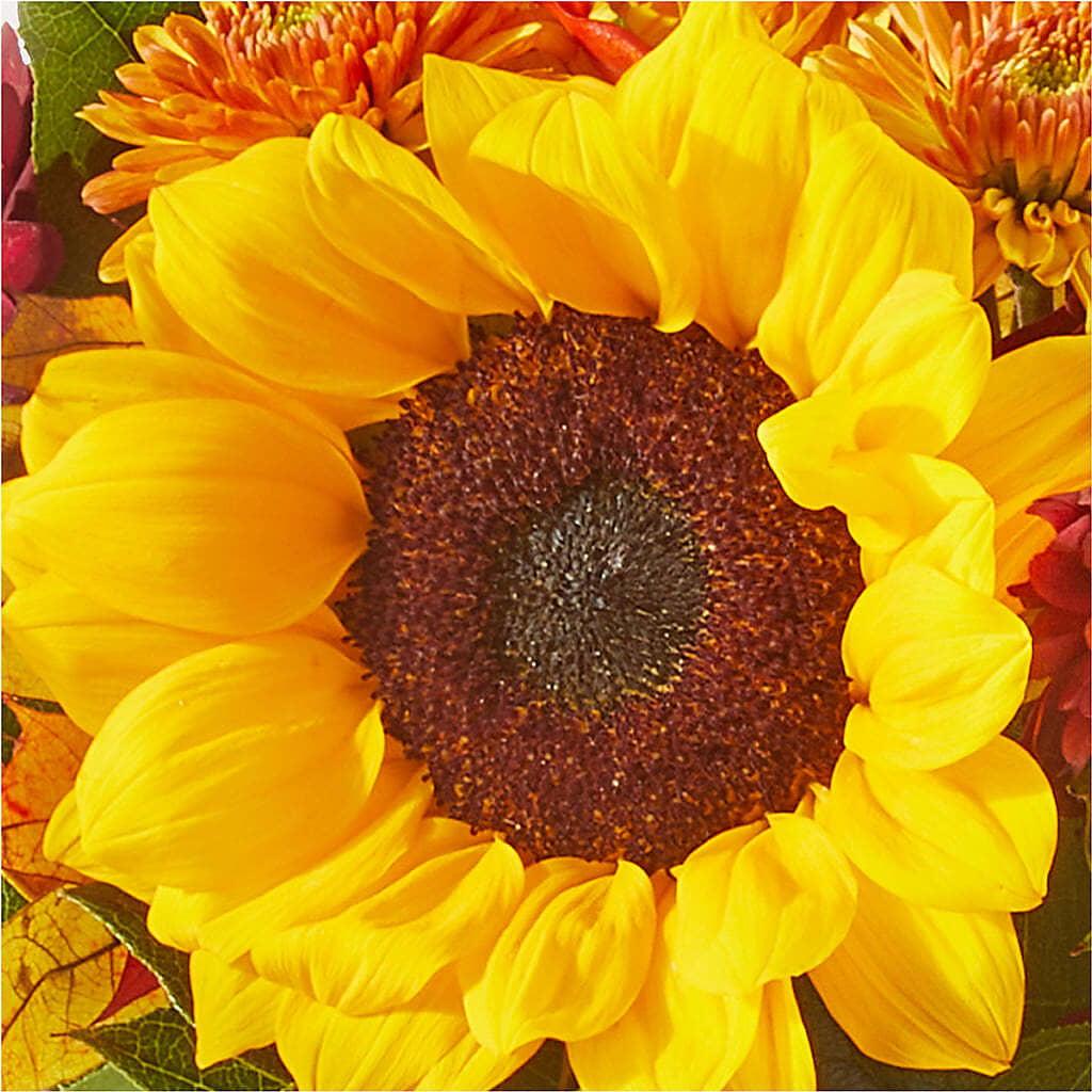 Sunny Side Bouquet –  Usa Flowershop Llc, Pompano Beach FL