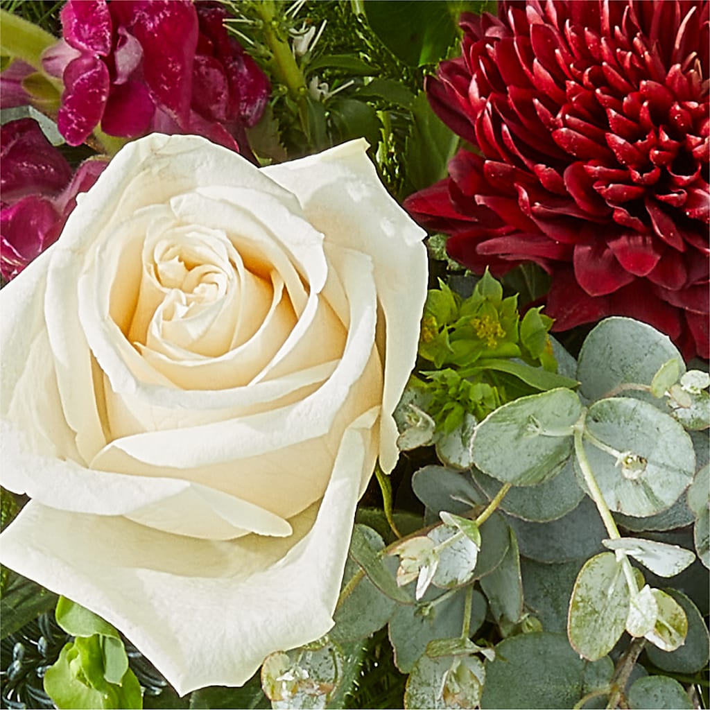 Cranberry Fizz Bouquet –  Usa Flowershop Llc, Pompano Beach FL