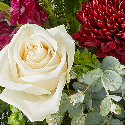 Cranberry Fizz Bouquet –  Usa Flowershop Llc, Pompano Beach FL