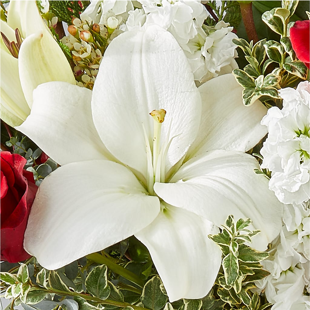 Twinkle Lights Bouquet –  Usa Flowershop Llc, Pompano Beach FL