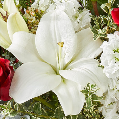 Twinkle Lights Bouquet –  Usa Flowershop Llc, Pompano Beach FL