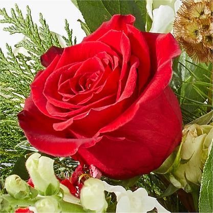 Deck the Halls Bouquet –  Usa Flowershop Llc, Pompano Beach FL