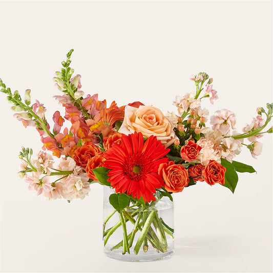 Paloma Please Bouquet –  Usa Flowershop Llc, Pompano Beach FL
