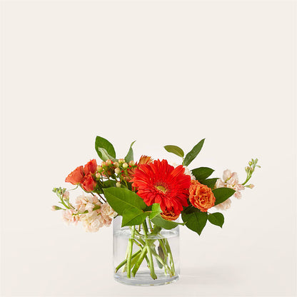 Paloma Please Bouquet –  Usa Flowershop Llc, Pompano Beach FL