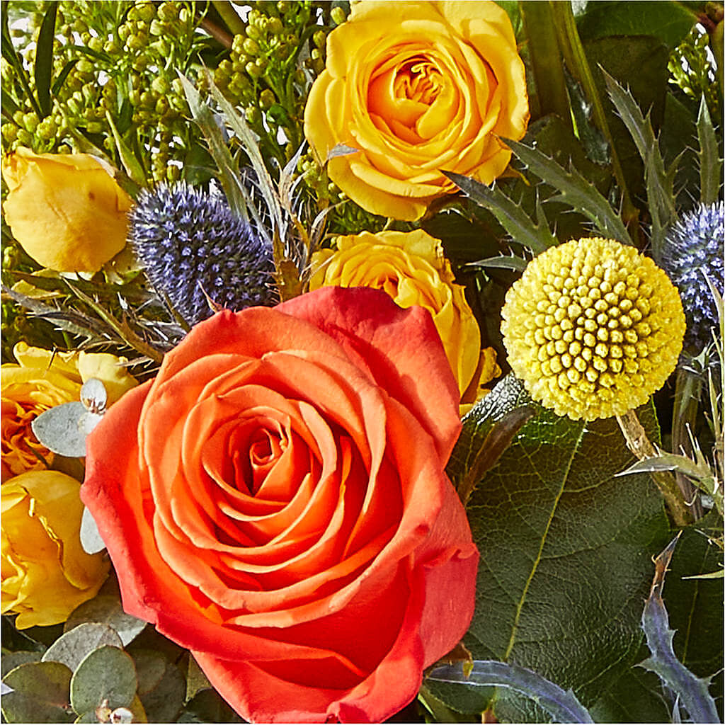 Disco Bouquet –  Usa Flowershop Llc, Pompano Beach FL