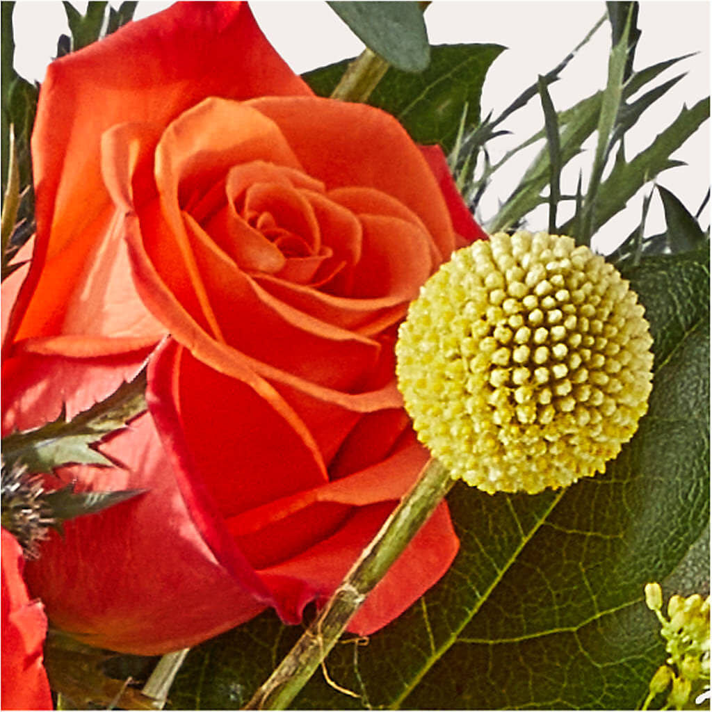 Disco Bouquet –  Usa Flowershop Llc, Pompano Beach FL