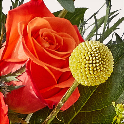 Disco Bouquet –  Usa Flowershop Llc, Pompano Beach FL