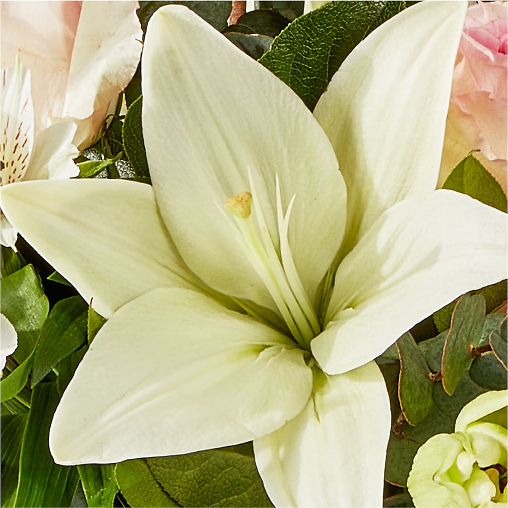 Ballet Slippers Bouquet –  Usa Flowershop Llc, Pompano Beach FL