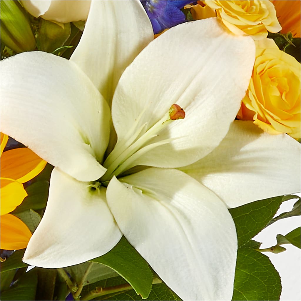 Wonderfully Sunny Bouquet –  Usa Flowershop Llc, Pompano Beach FL