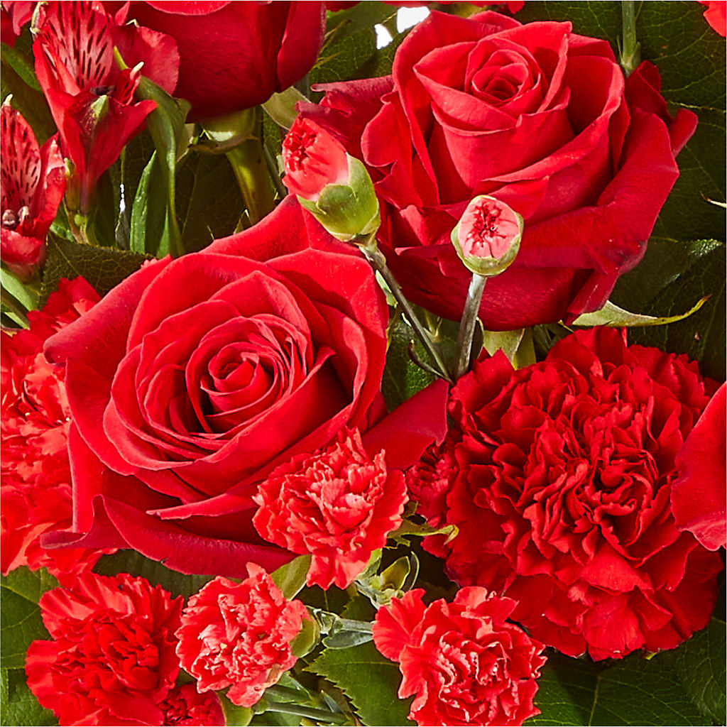 The Heartstrings Bouquet –  Usa Flowershop Llc, Pompano Beach FL