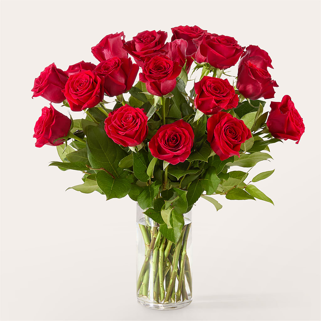 The One Red Rose Bouquet –  Usa Flowershop Llc, Pompano Beach FL