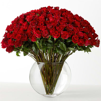 The Idealist –  Usa Flowershop Llc, Pompano Beach FL