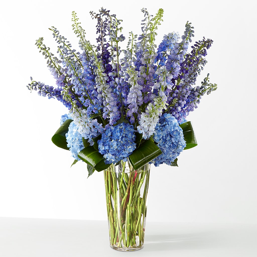 The Editorial –  Usa Flowershop Llc, Pompano Beach FL