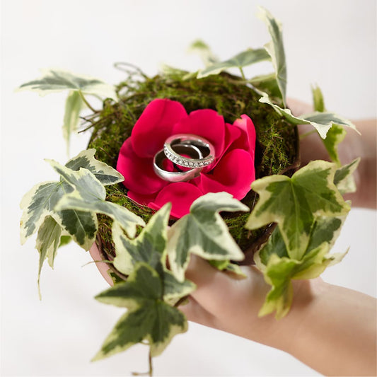 Lila Rose Ring Nest –  Usa Flowershop Llc, Pompano Beach FL