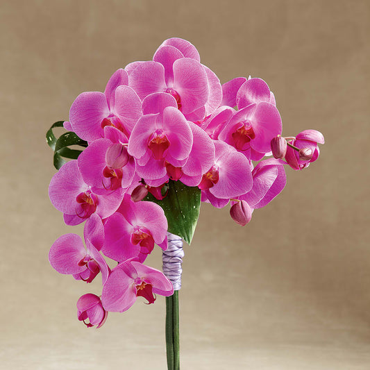 Glorious Bouquet –  Usa Flowershop Llc, Pompano Beach FL