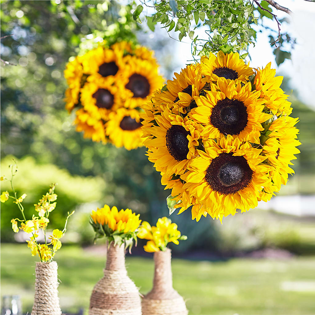 Sublime Garden Hanging Arrangement –  Usa Flowershop Llc, Pompano Beach FL
