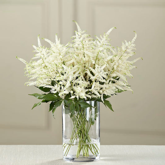 White Astilbe Bouquet –  Usa Flowershop Llc, Pompano Beach FL