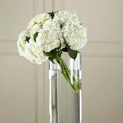White Hydrangea Hand-Tied Bouquet –  Usa Flowershop Llc, Pompano Beach FL