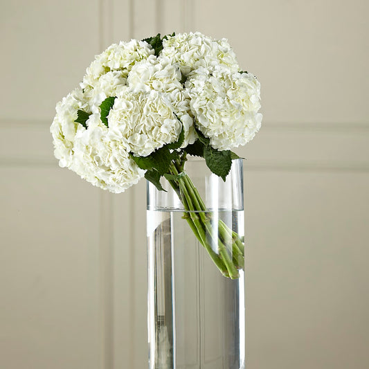White Hydrangea Hand-Tied Bouquet –  Usa Flowershop Llc, Pompano Beach FL
