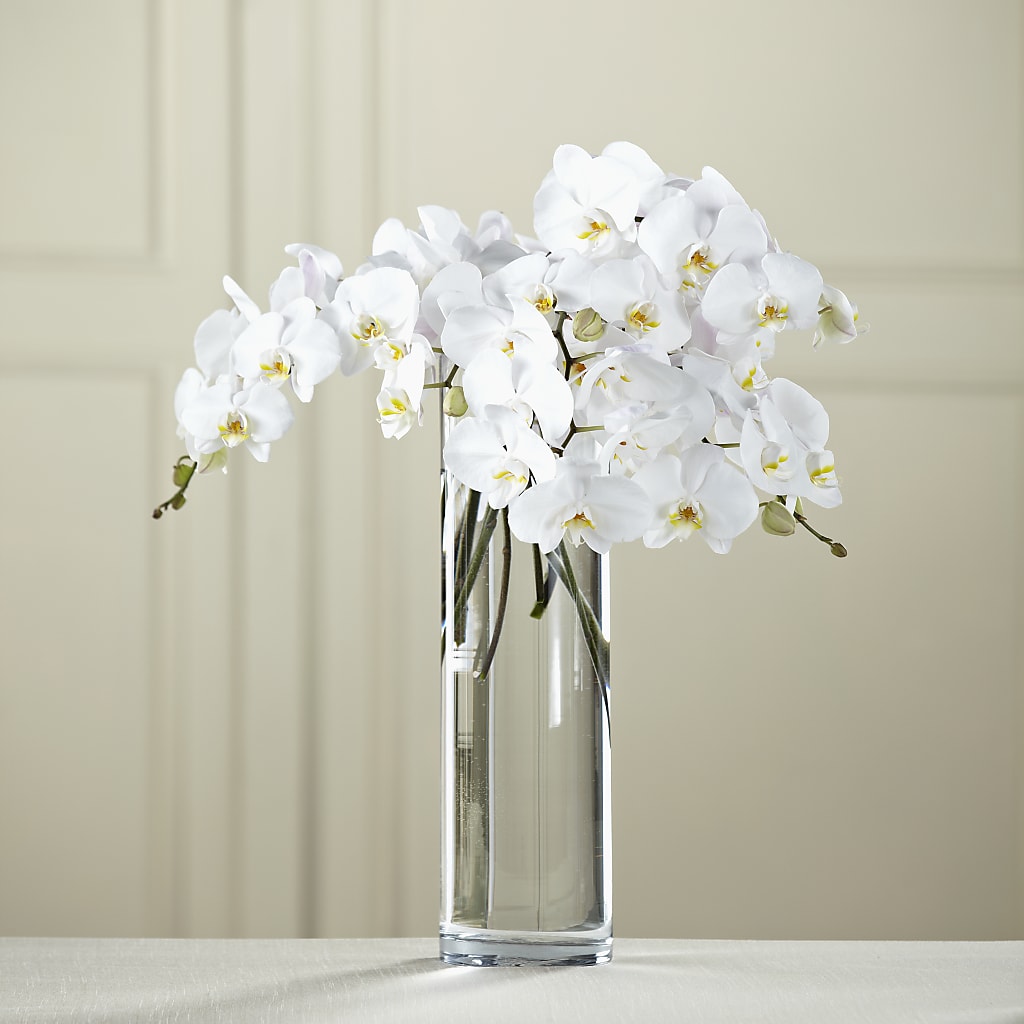White Phalaenopsis Bouquet –  Usa Flowershop Llc, Pompano Beach FL