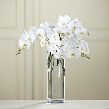 White Phalaenopsis Bouquet –  Usa Flowershop Llc, Pompano Beach FL