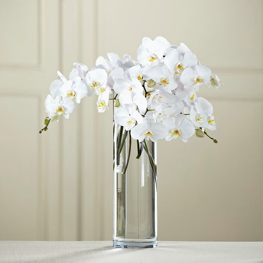 White Phalaenopsis Bouquet –  Usa Flowershop Llc, Pompano Beach FL